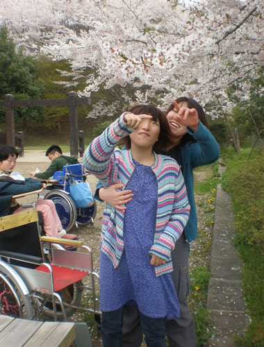 戸外活動:お花見